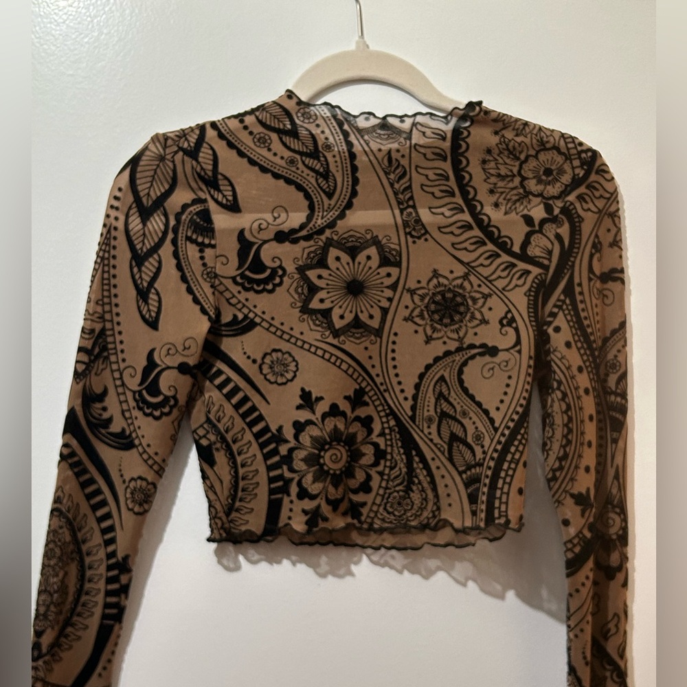 Sheer Velvet Embroidered Top